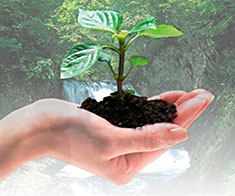 FN hyllar Kubas milj&ouml;satsningar